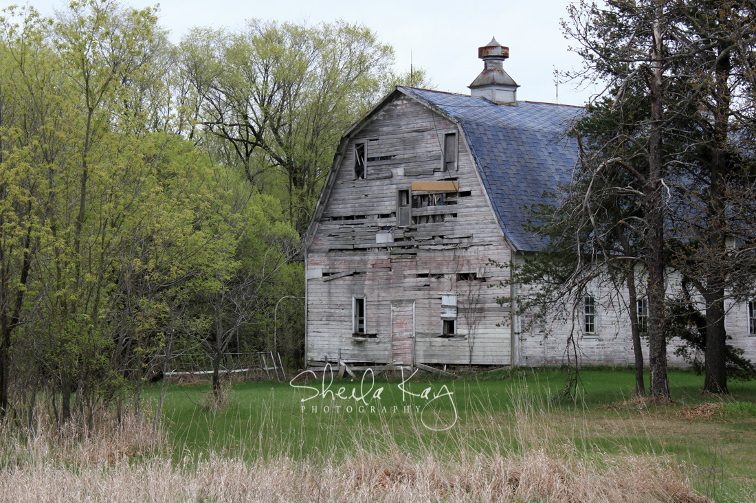 Isanti County, Minnesota