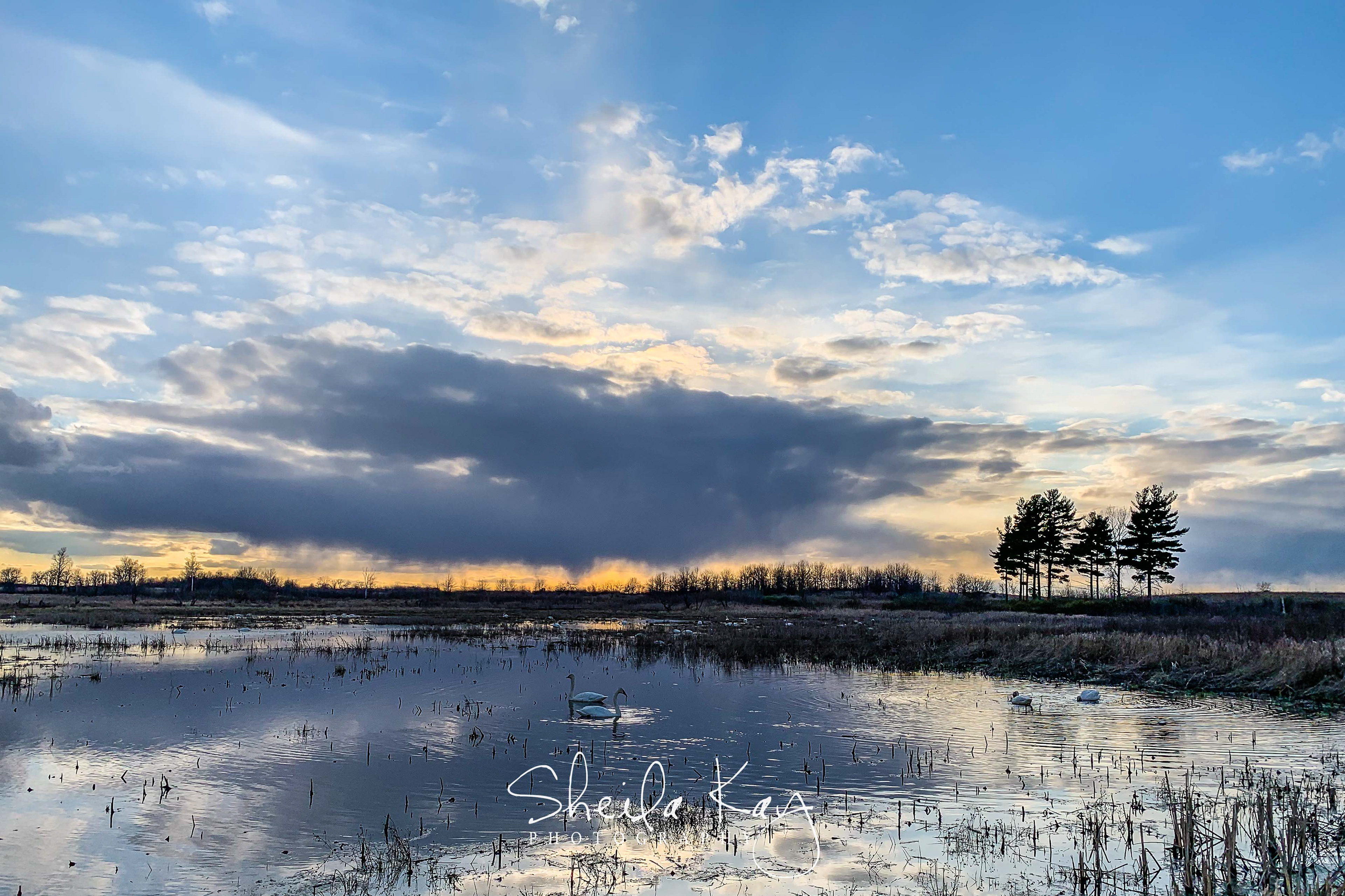 Sherburne National Wildlife Refuge
