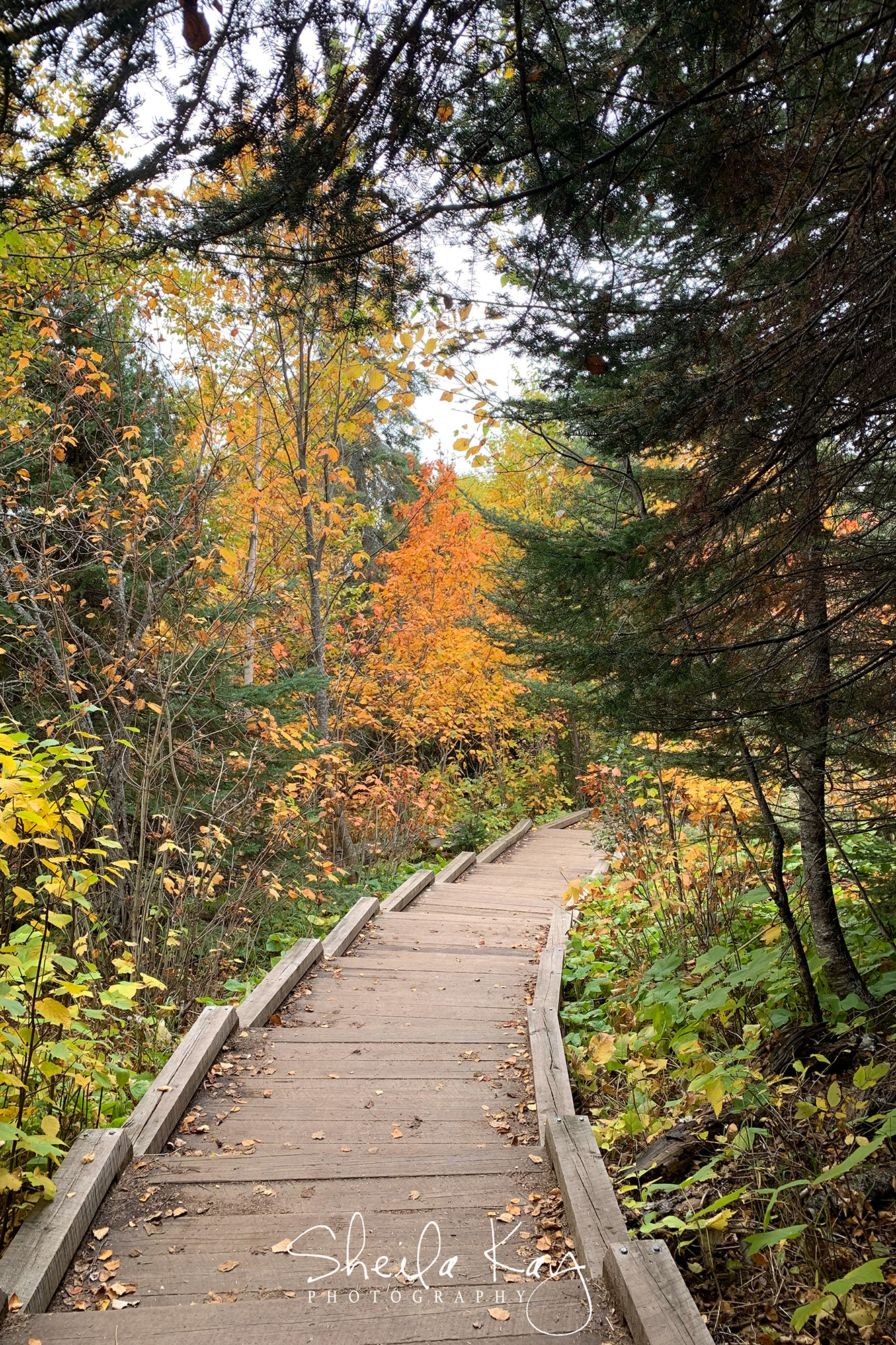 Tettegouche State Park