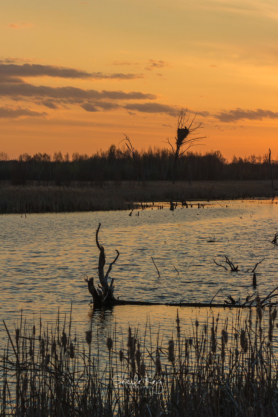 Sherburne National Wildlife Refuge