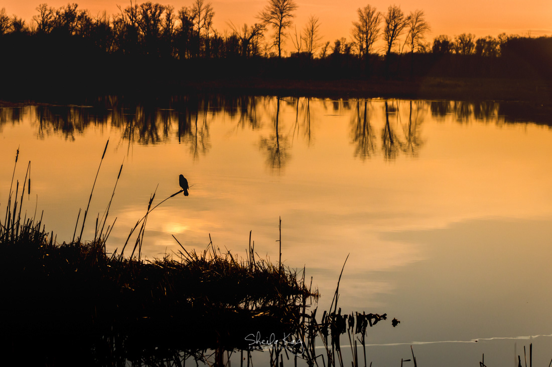 Sherburne National Wildlife Refuge