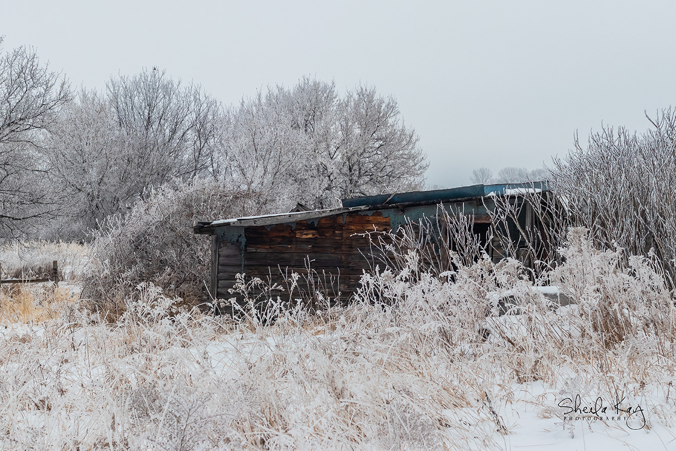 Hennepin County, Minnesota