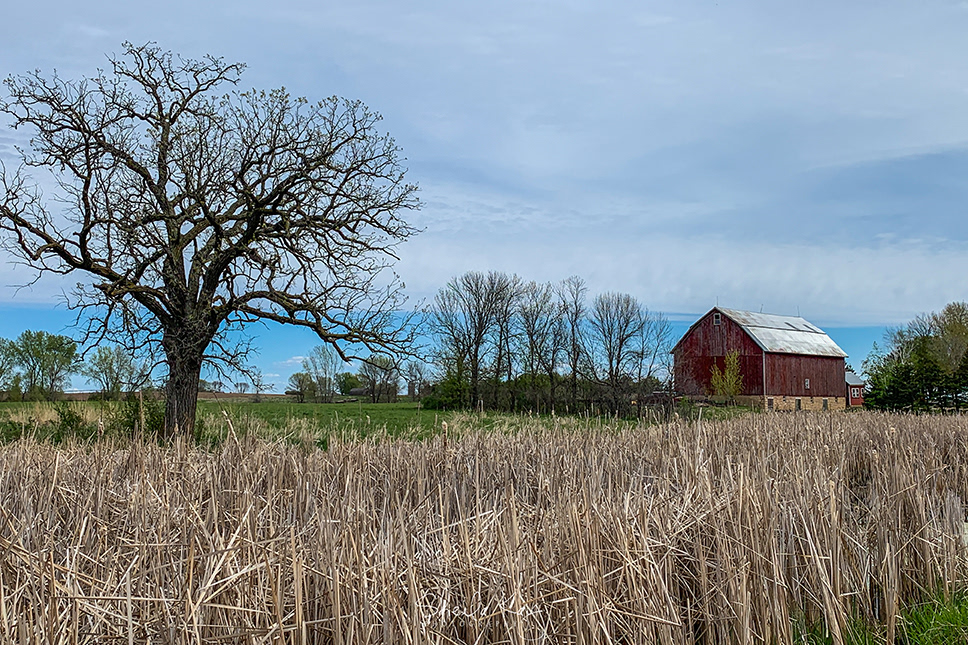 Dakota County