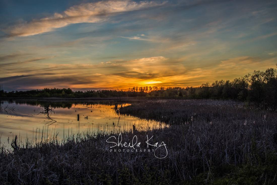 Sherburne National Wildlife Refuge