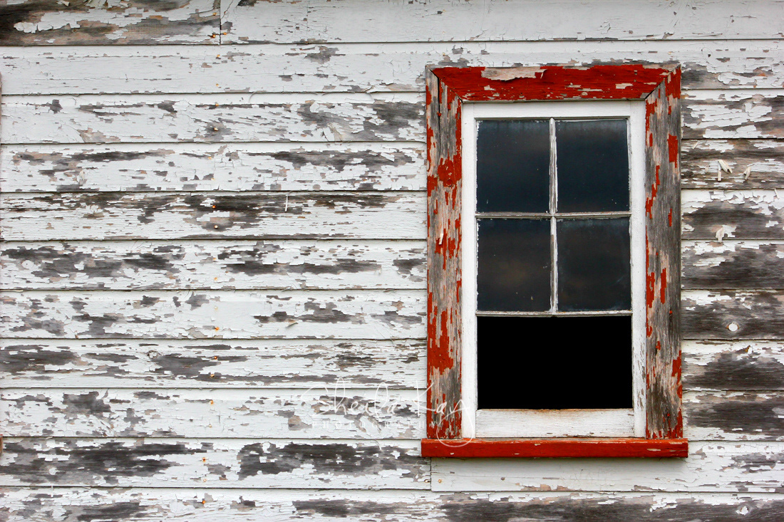 Isanti County, Minnesota