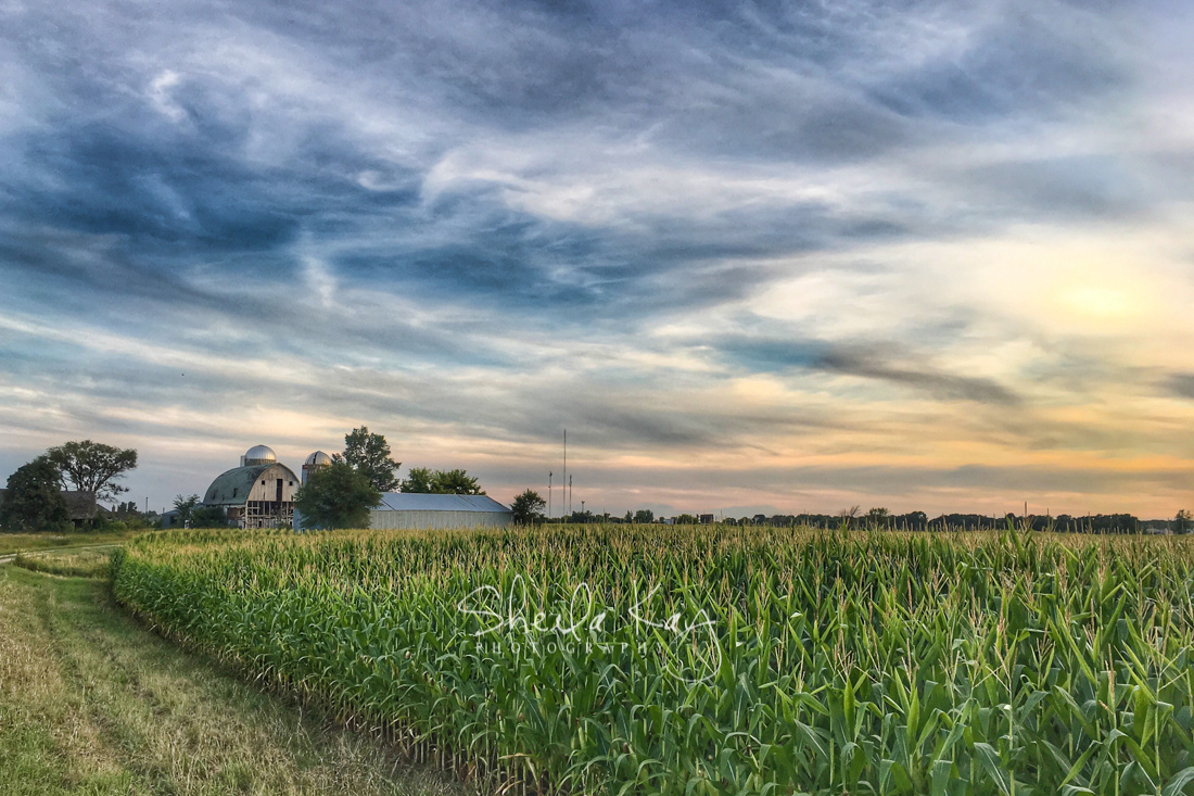 Wright County, Minnesota