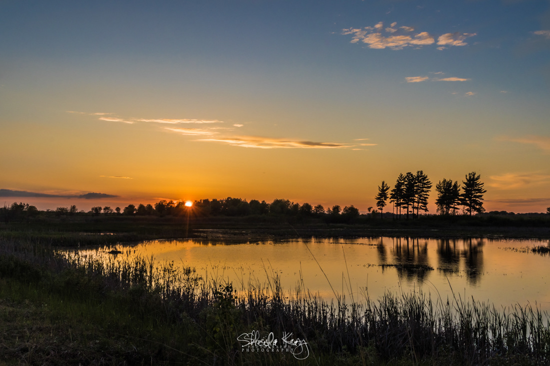 Sherburne National Wildlife Refuge