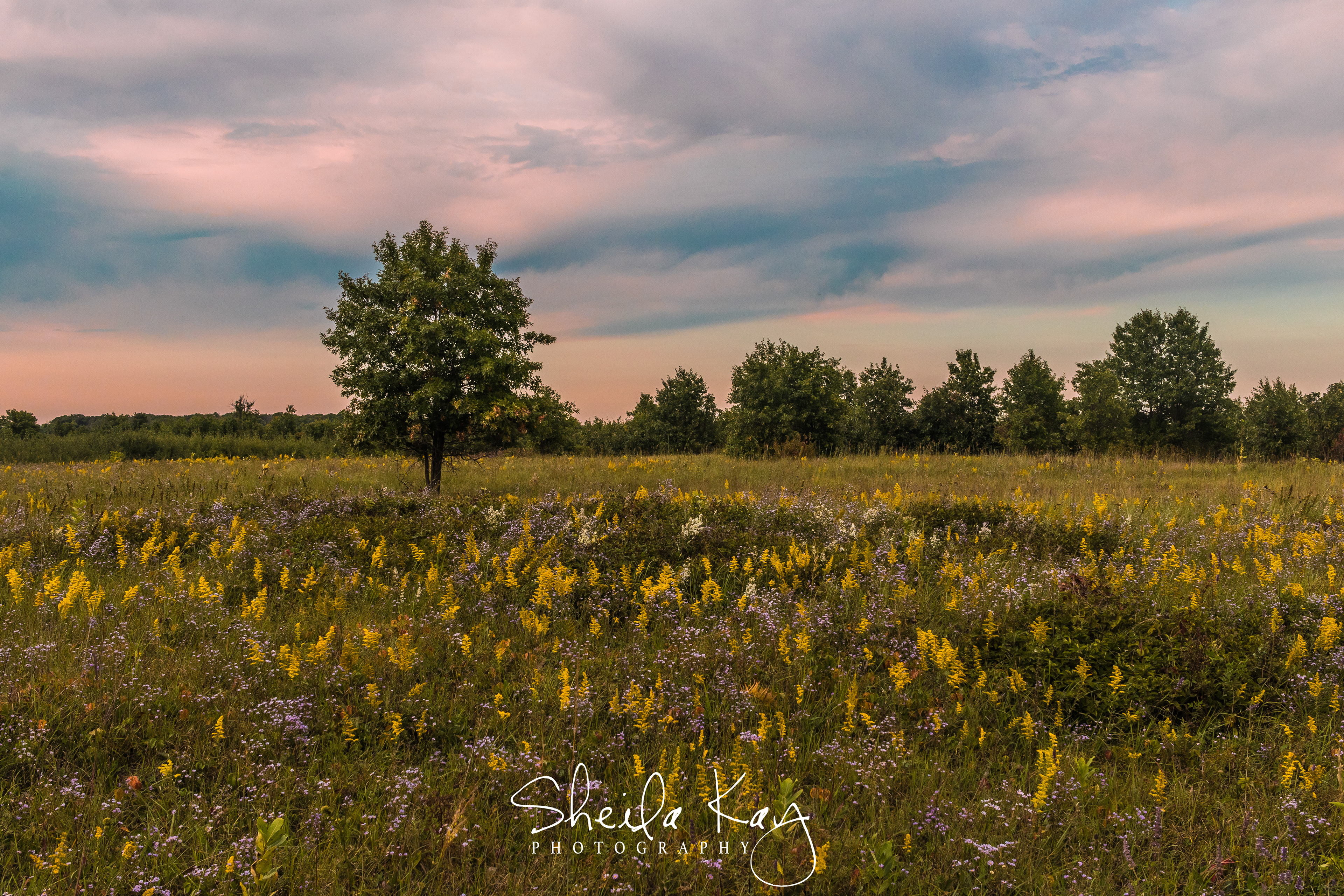 Sherburne National Wildlife Refuge