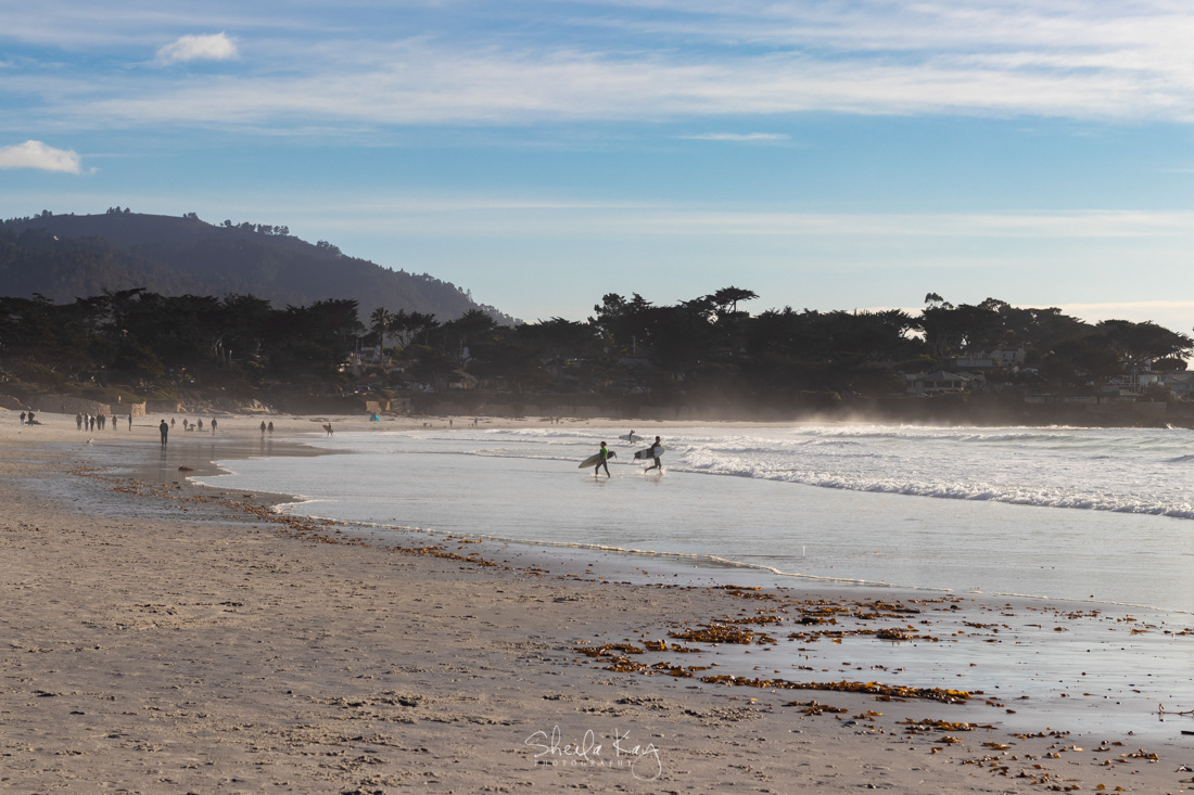 Carmel River State Beach, Carmel, California