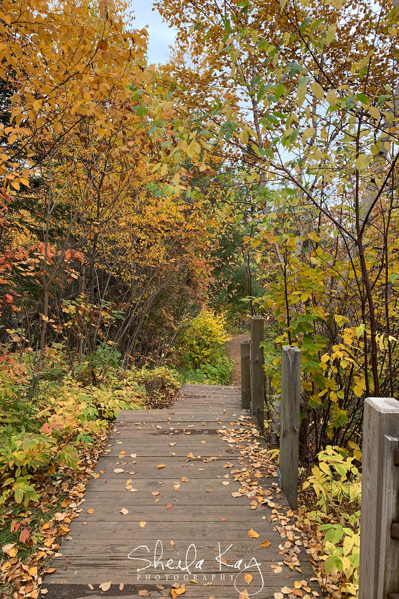 Tettegouche State Park