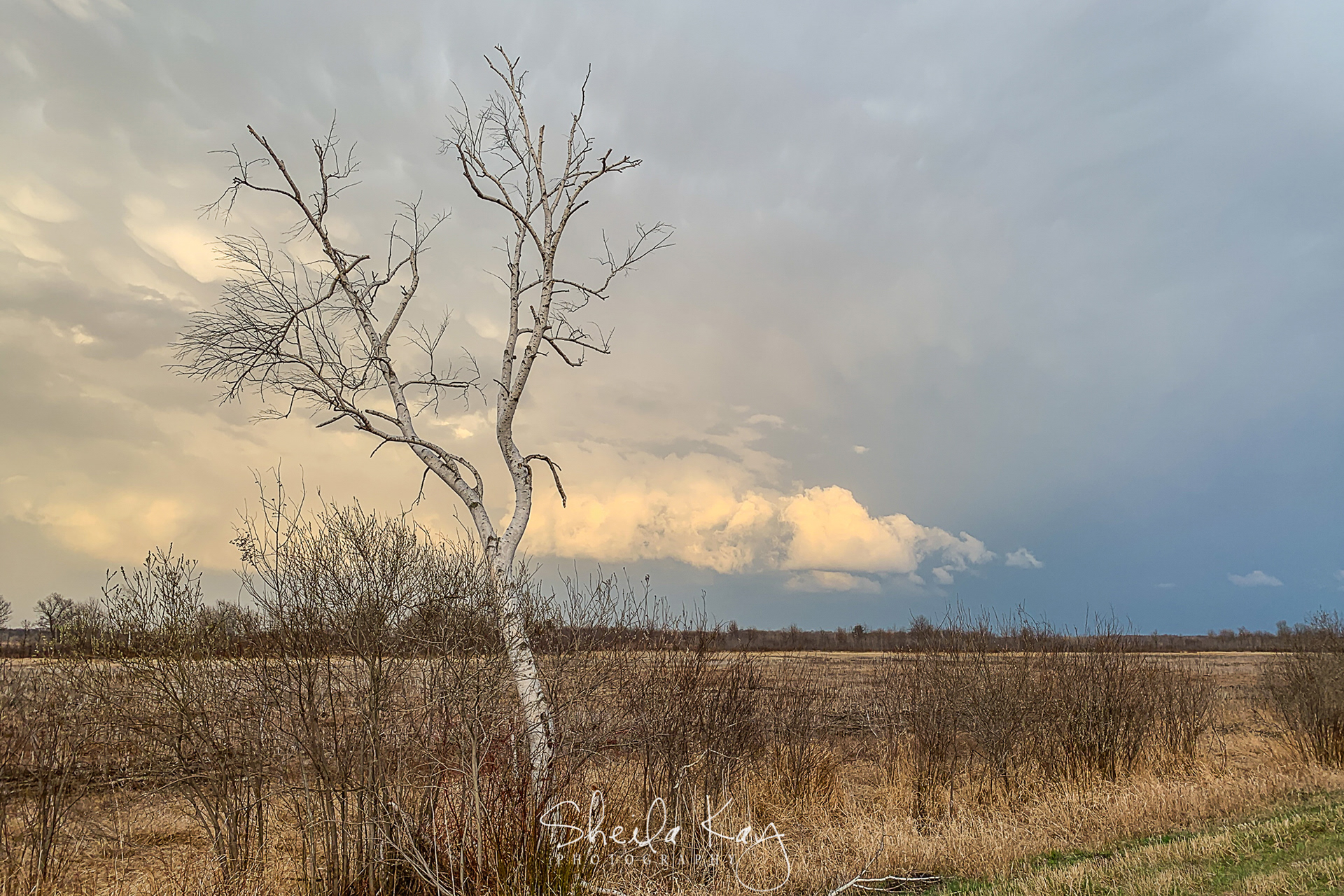 Sherburne National Wildlife Refuge
