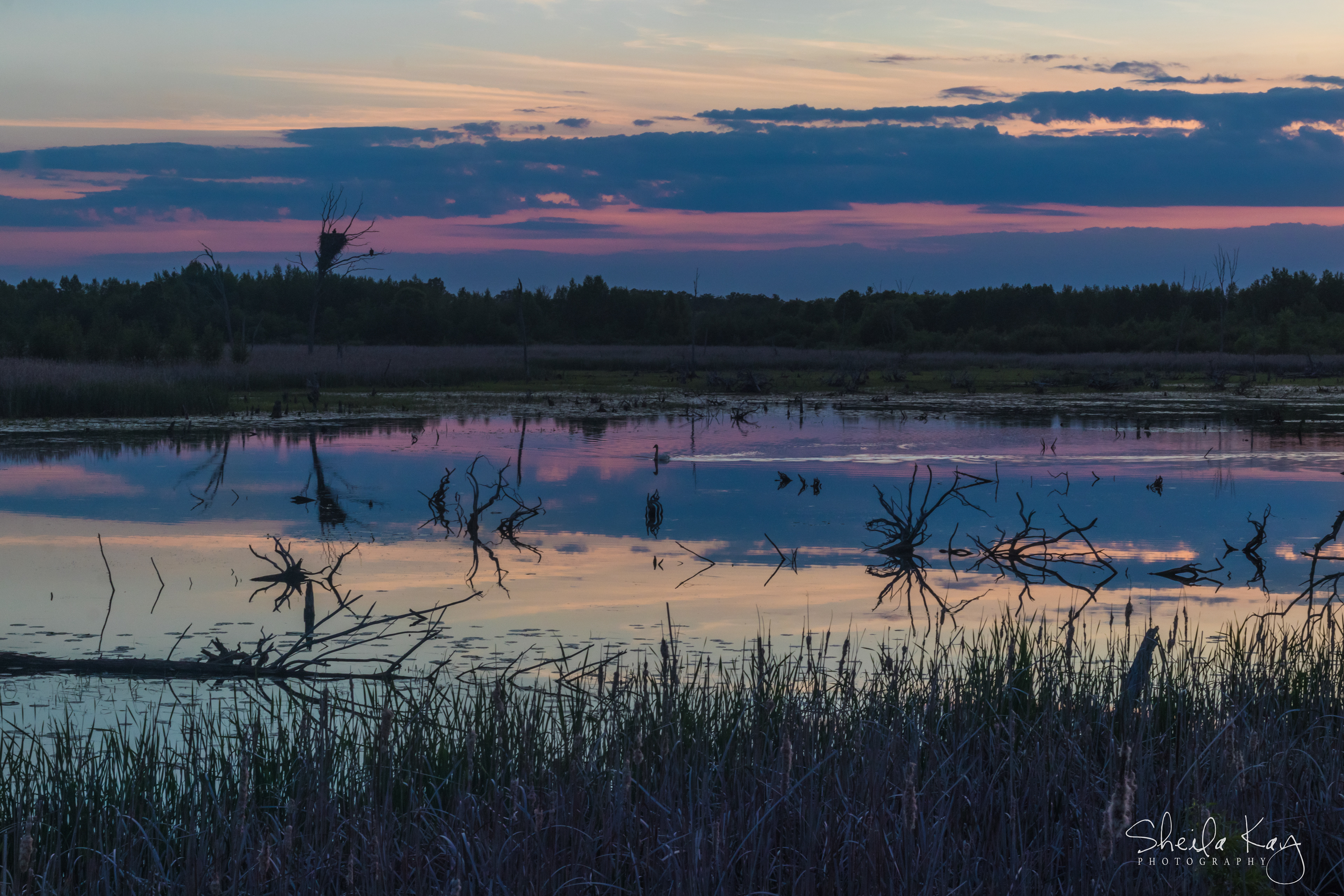 Sherburne National Wildlife Refuge