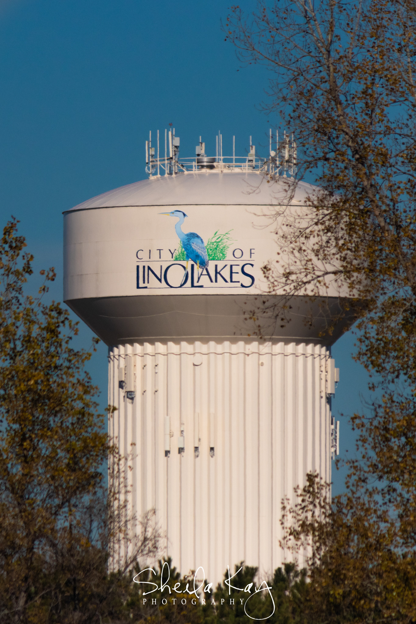 Lino Lakes, Minnesota