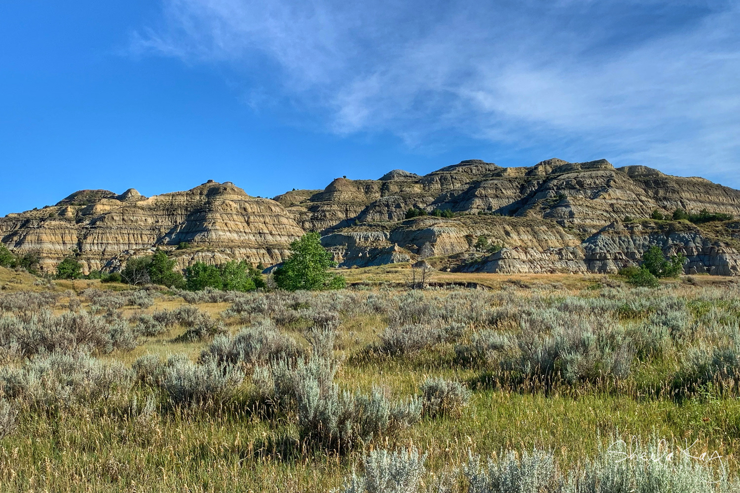Theodore Roosevelt National Park