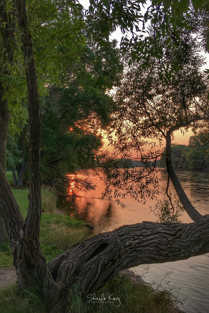 Wright County, Minnesota