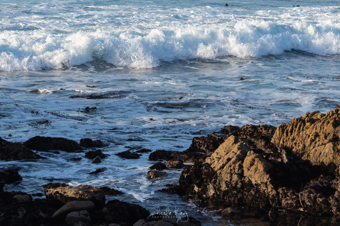 Carmel River State Beach, Carmel, California
