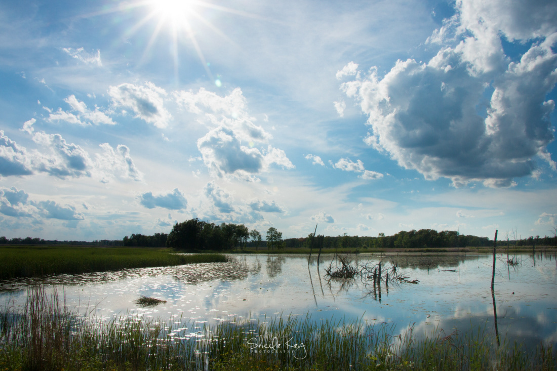 Sherburne National Wildlife Refuge
