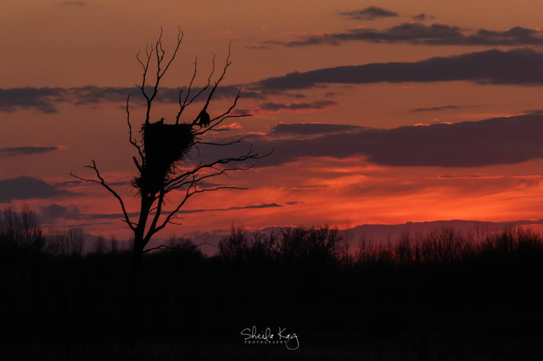Sherburne National Wildlife Refuge