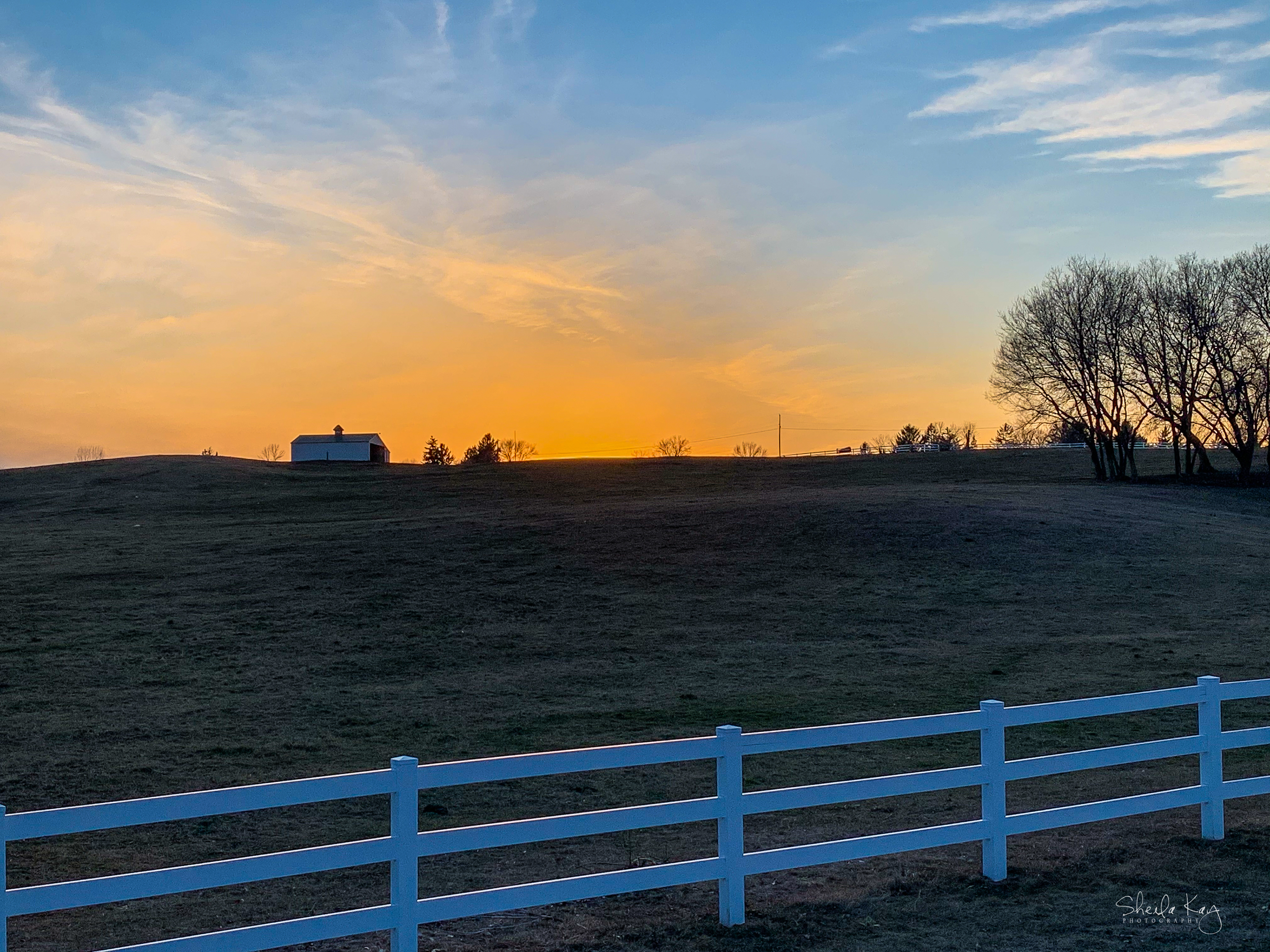 Wright County