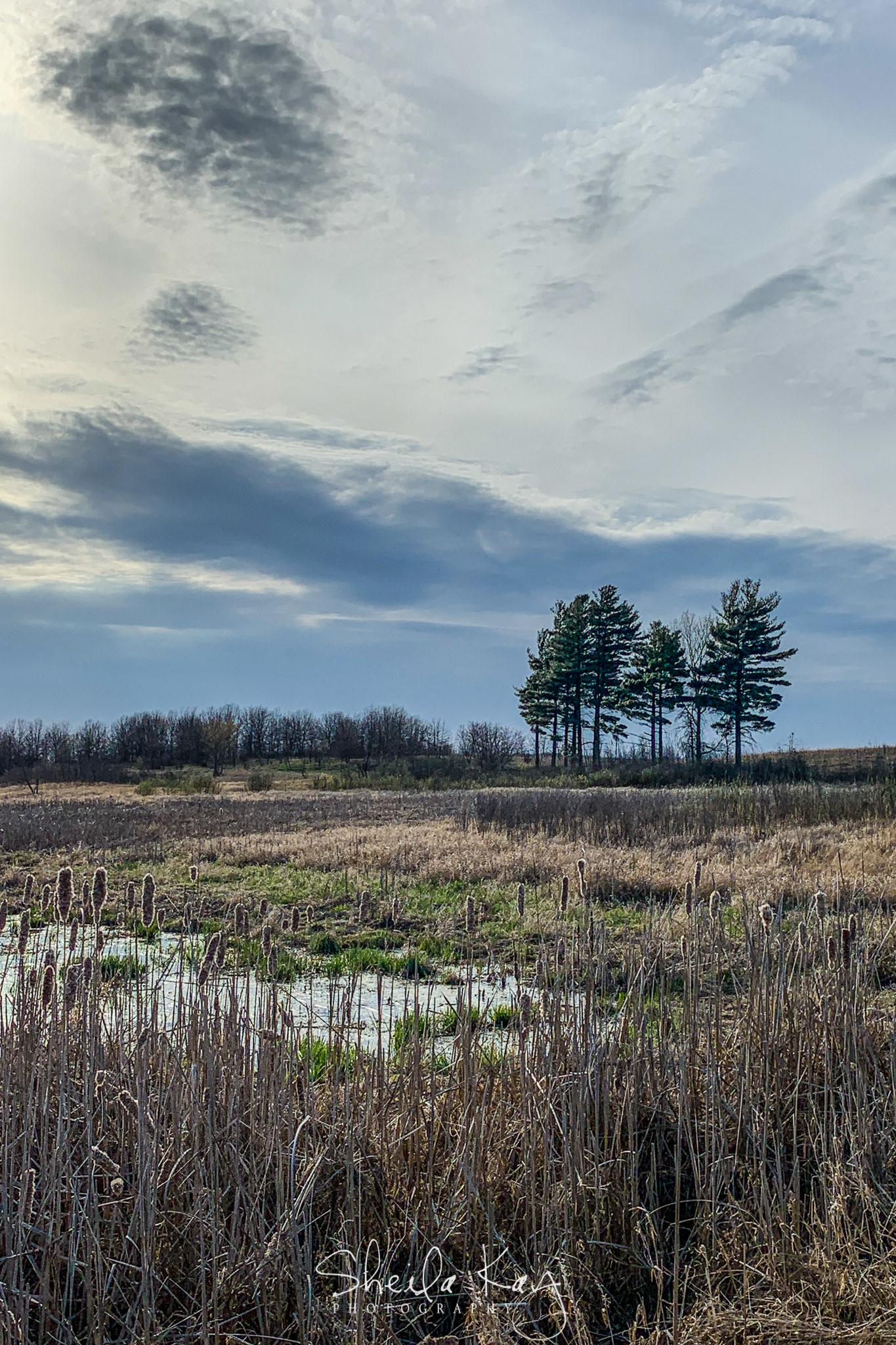 Sherburne National Wildlife Refuge
