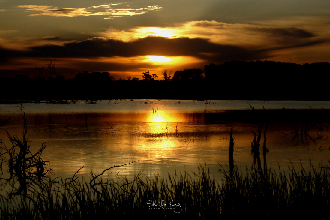 Sherburne National Wildlife Refuge