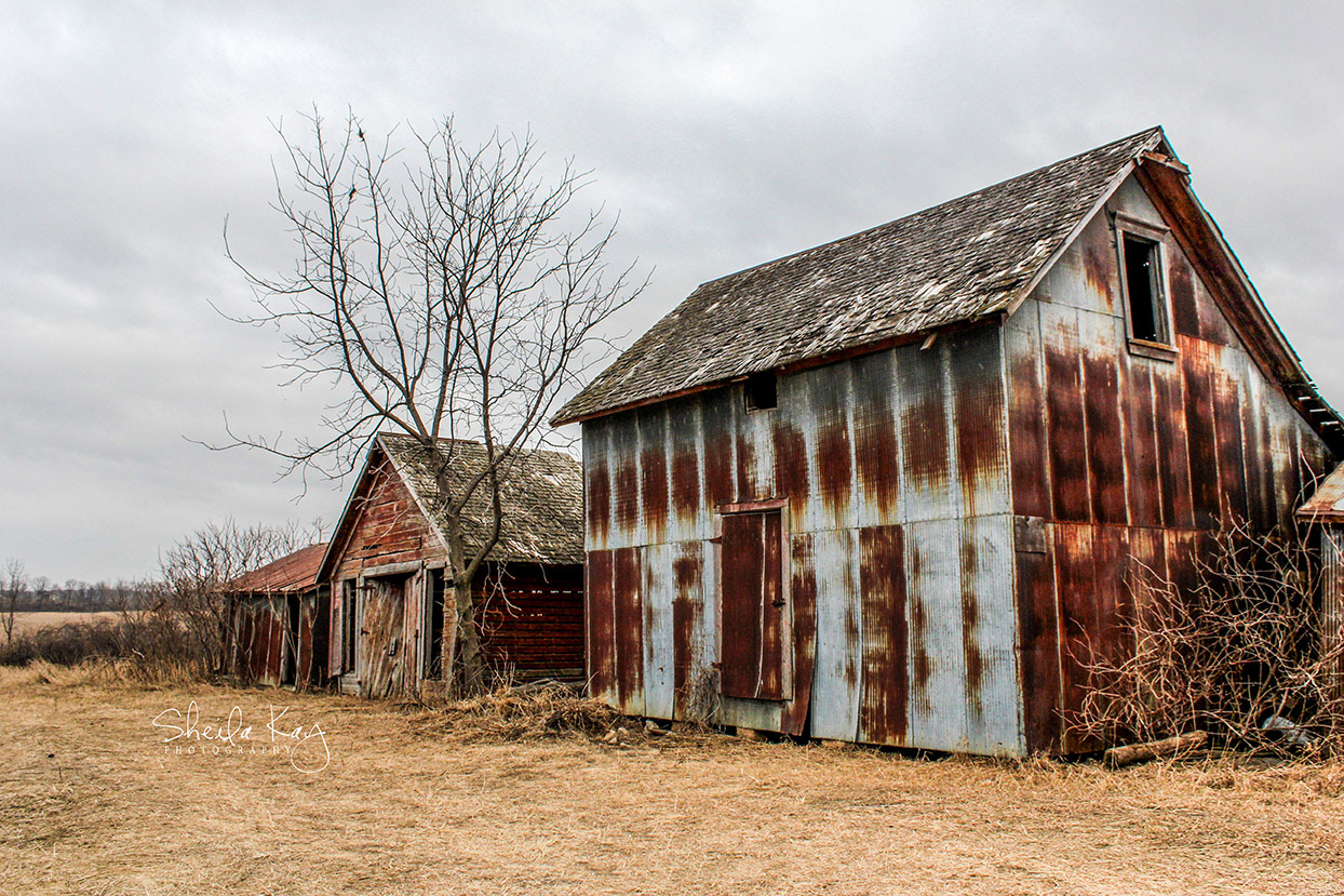 Hennepin County, Minnesota