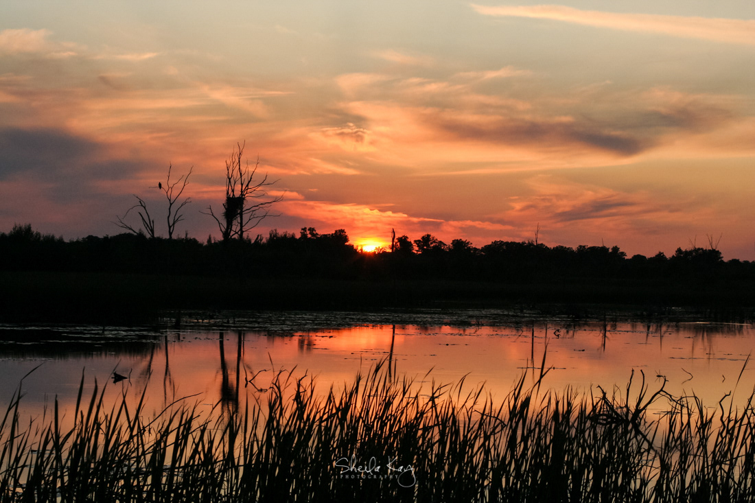 Sherburne National Wildlife Refuge
