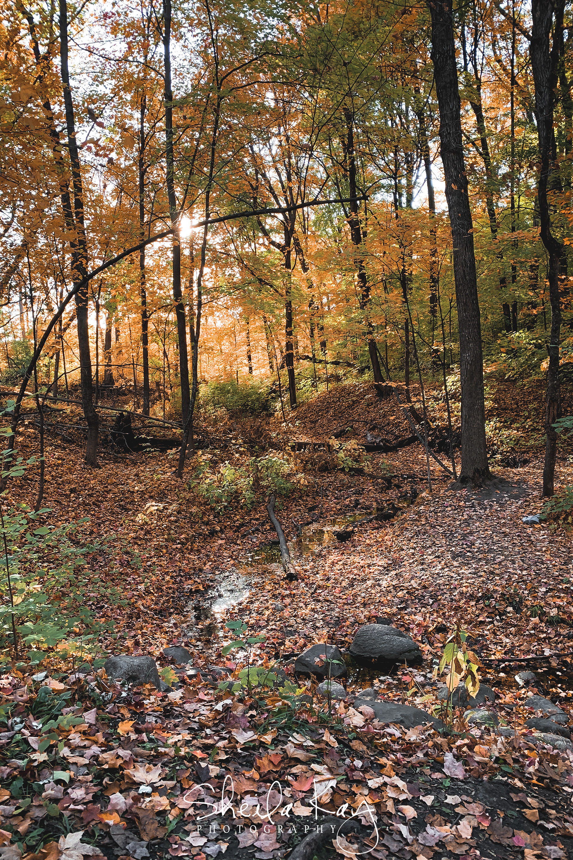 Hennepin County, Minnesota