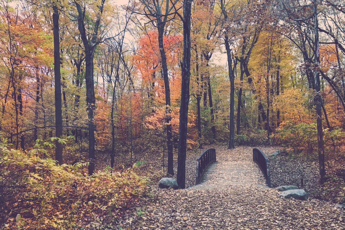 Hennepin County, Minnesota