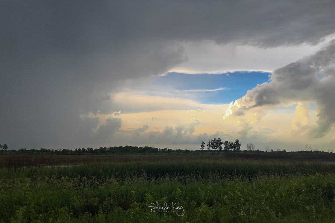 Sherburne National Wildlife Refuge