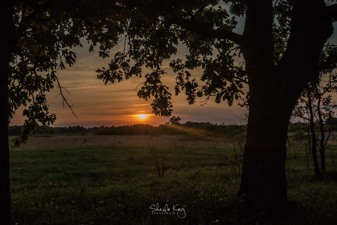 Sherburne National Wildlife Refuge