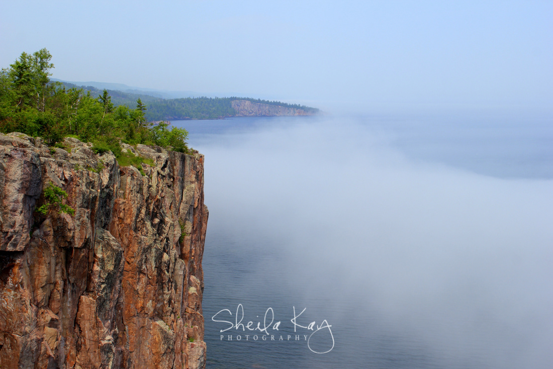 Palisade head
