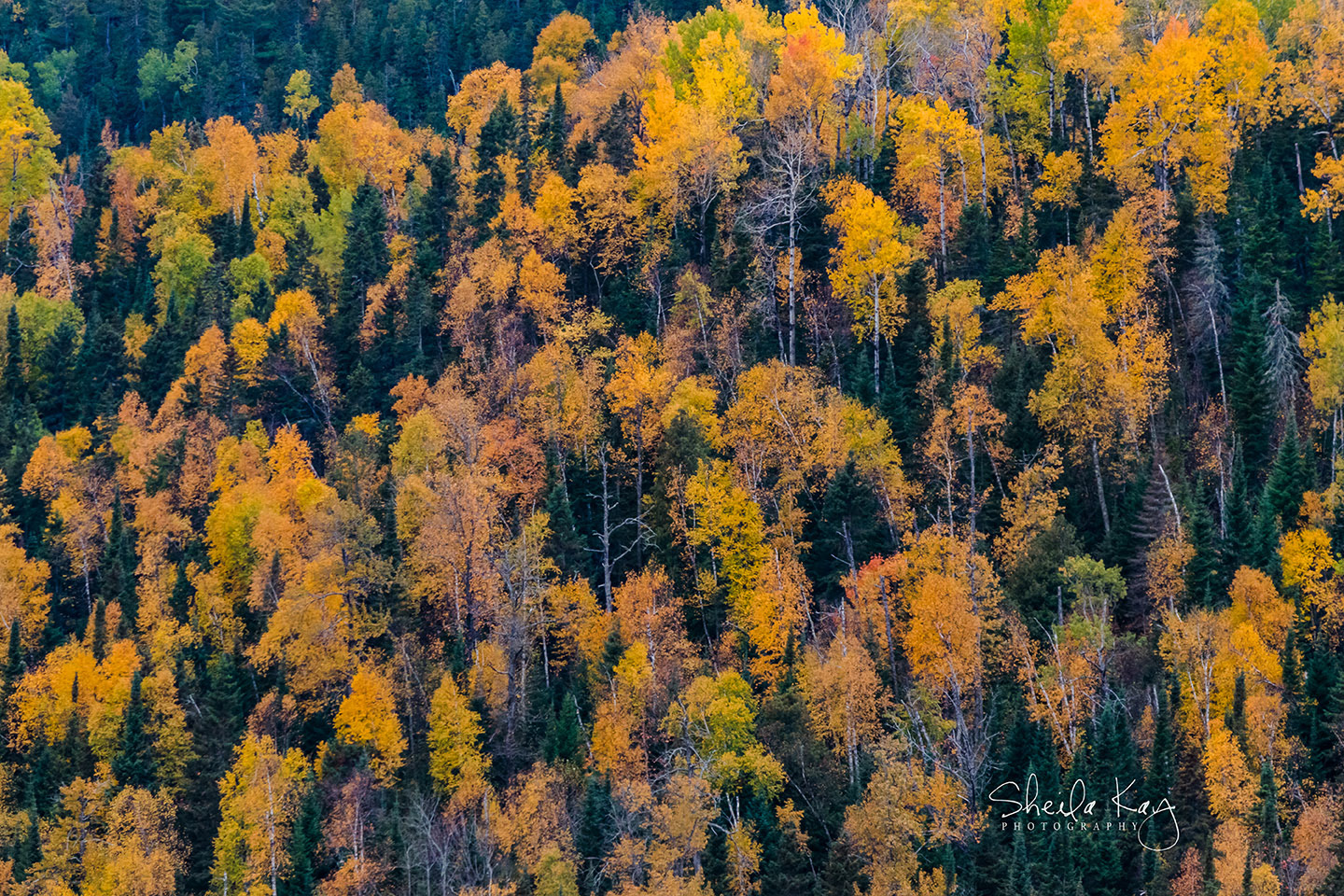 Lutsen Mountains