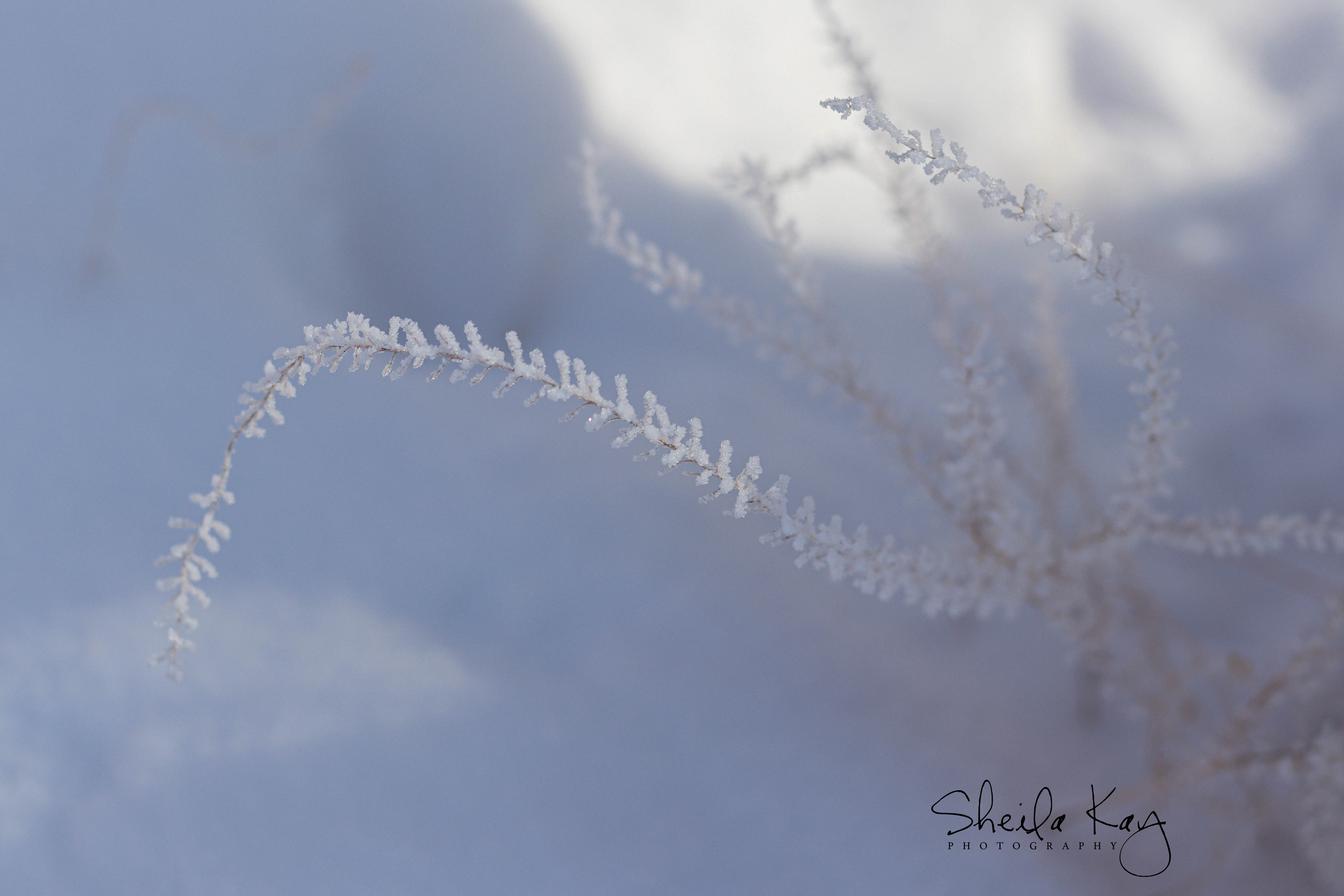 After the Snow