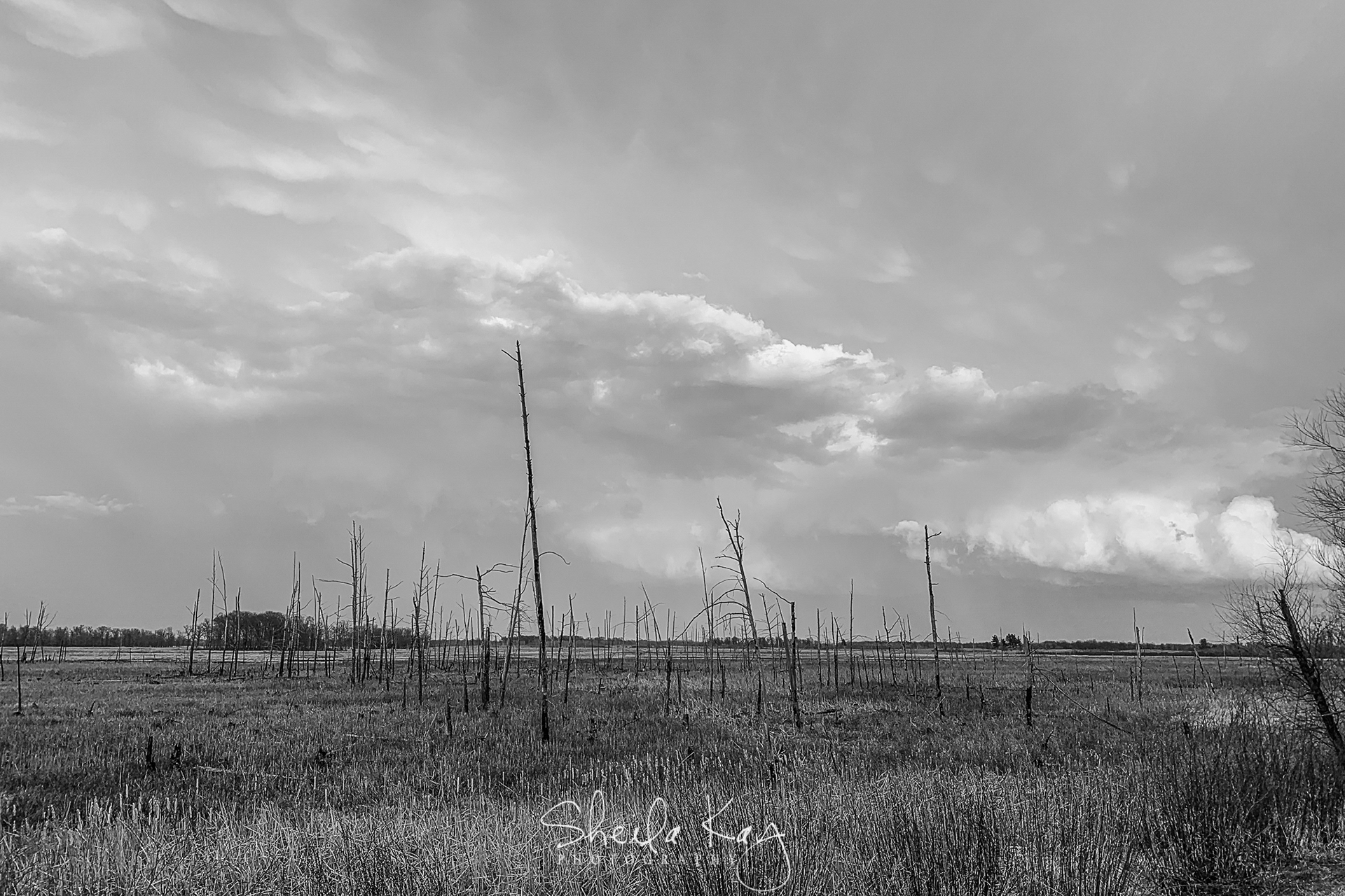 Sherburne National Wildlife Refuge