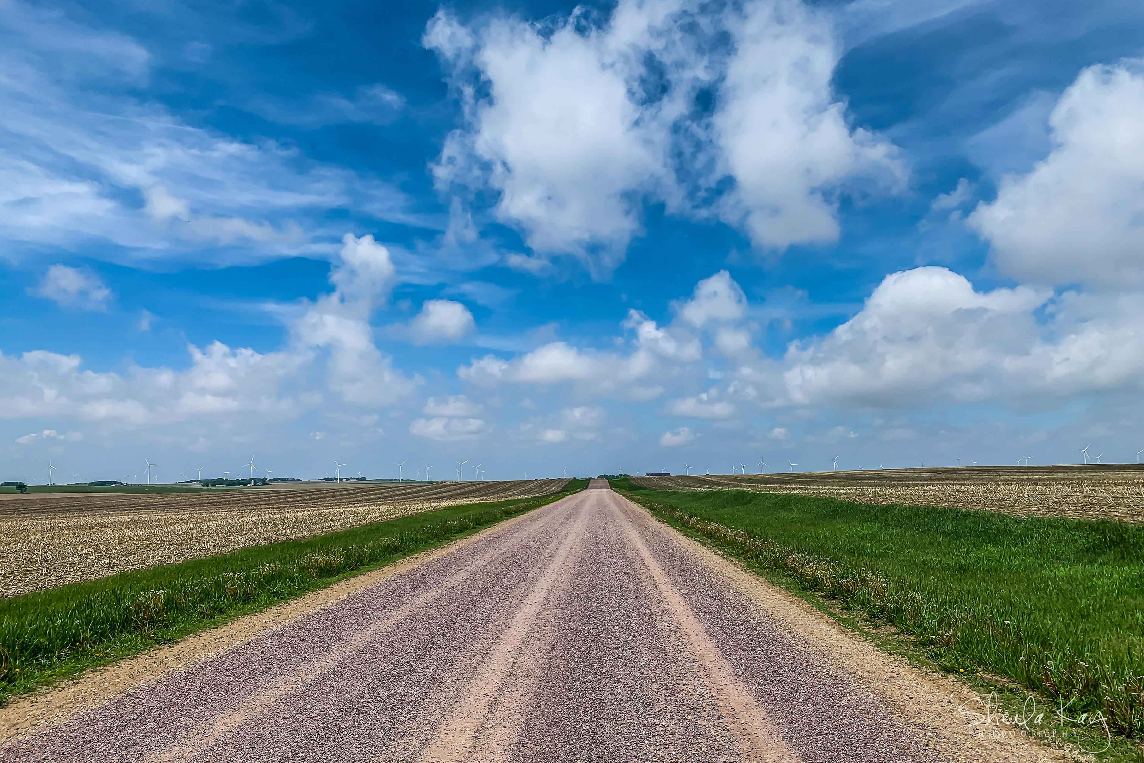 Rock County, Minnesota