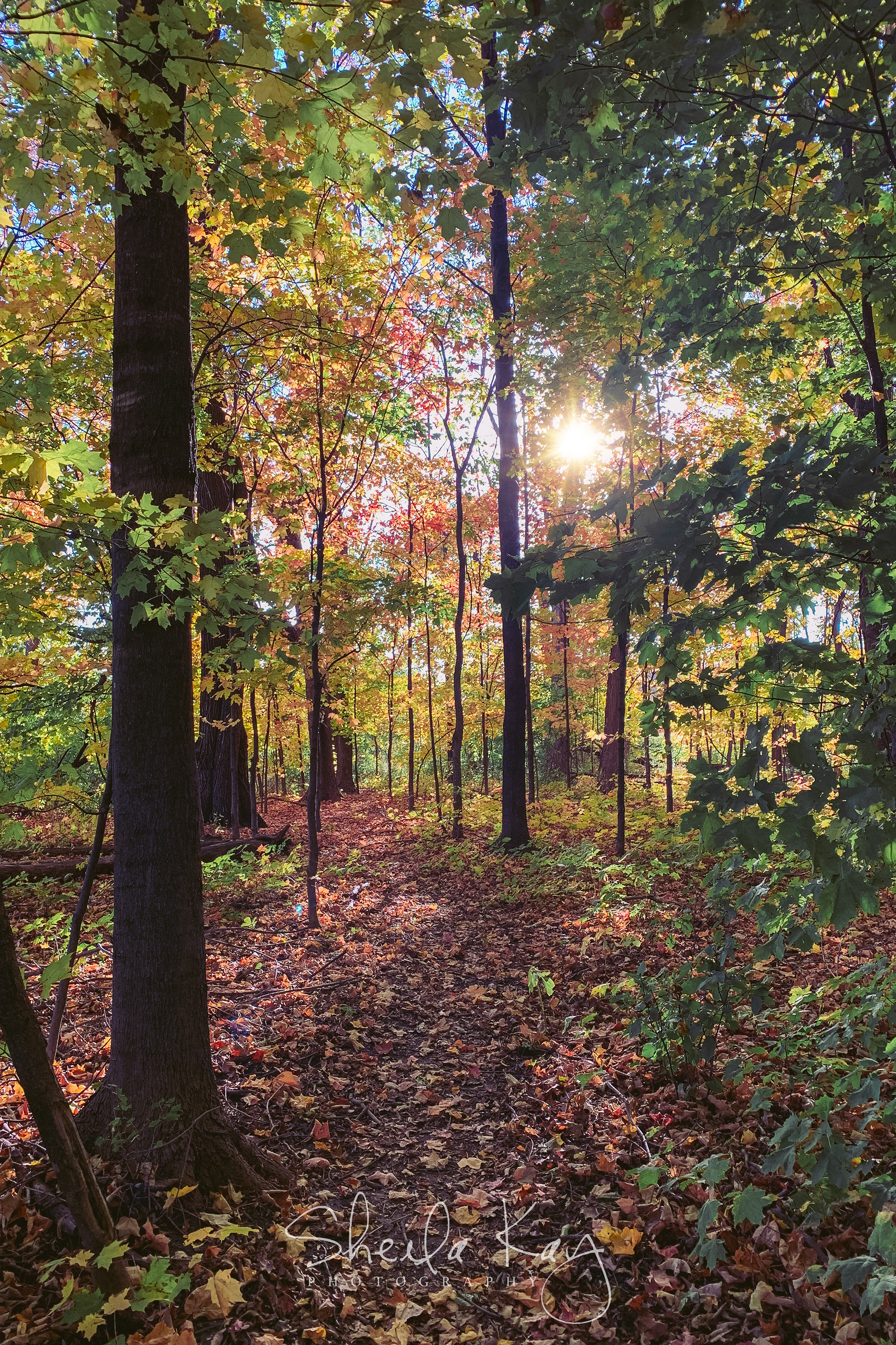 Hennepin County, Minnesota