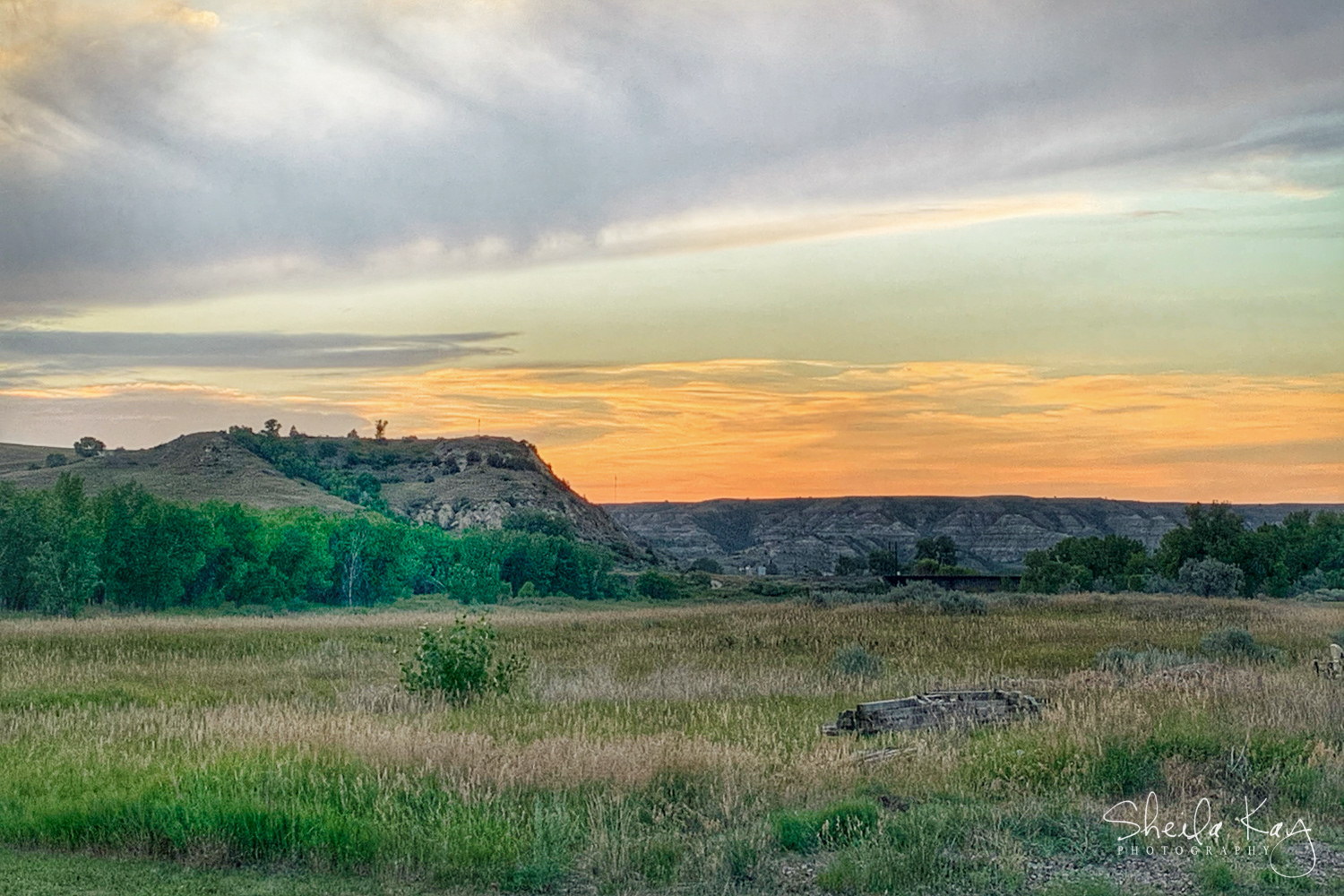 Theodore Roosevelt National Park