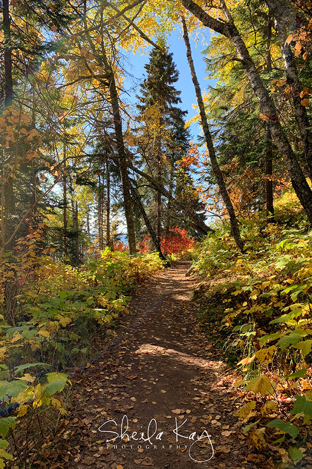 Cascade River State Park
