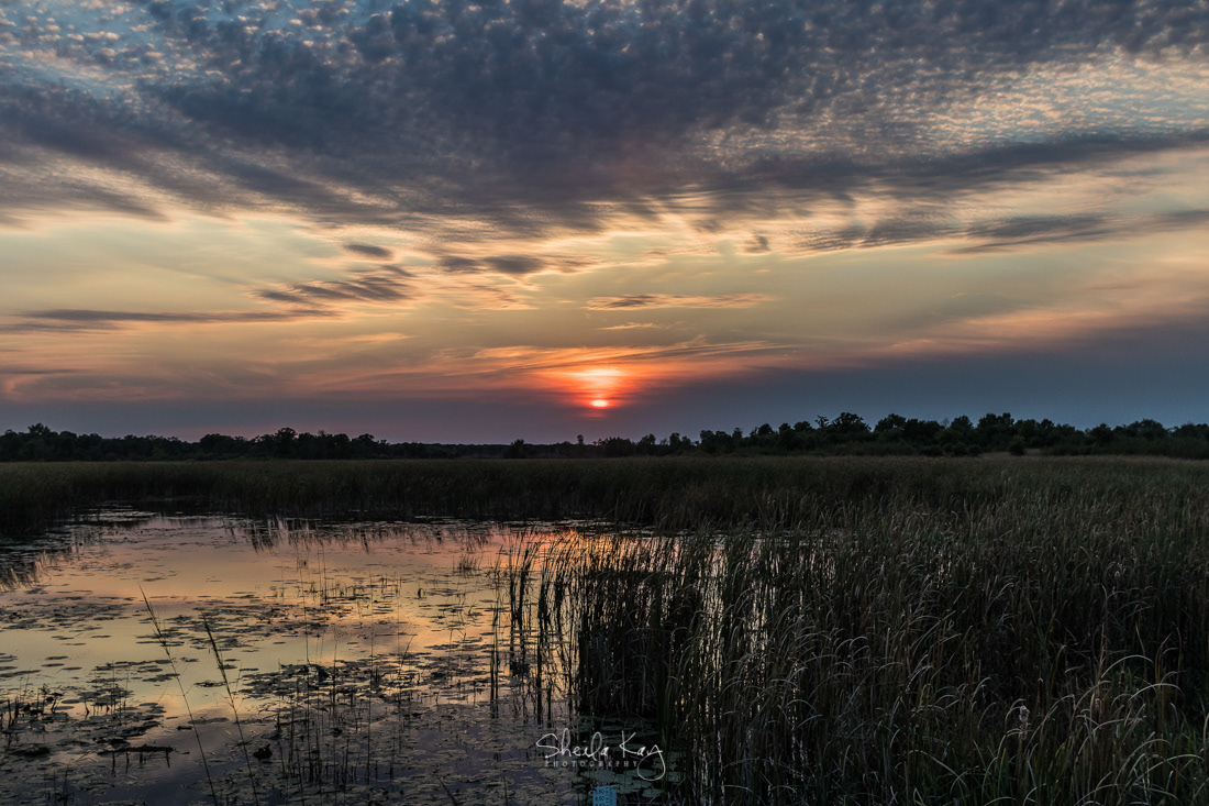 Sherburne National Wildlife Refuge