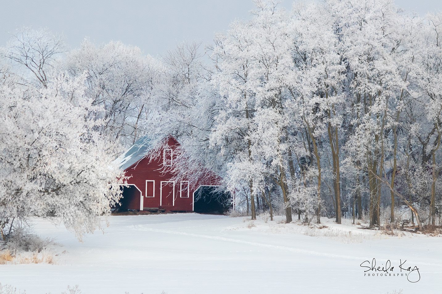 Hennepin County, Minnesota