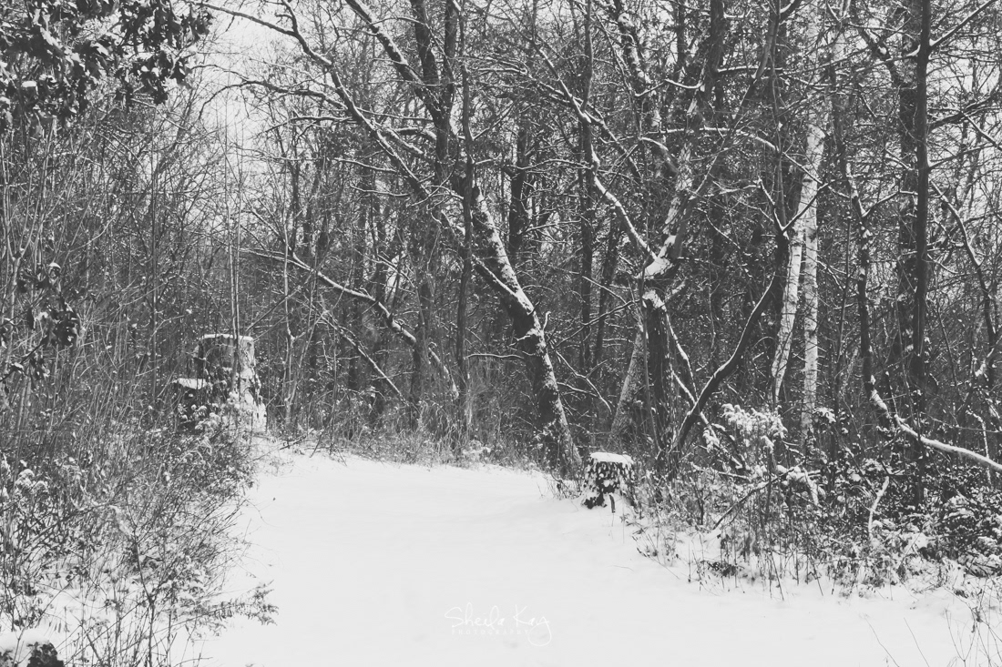 Sherburne County, Minnesota