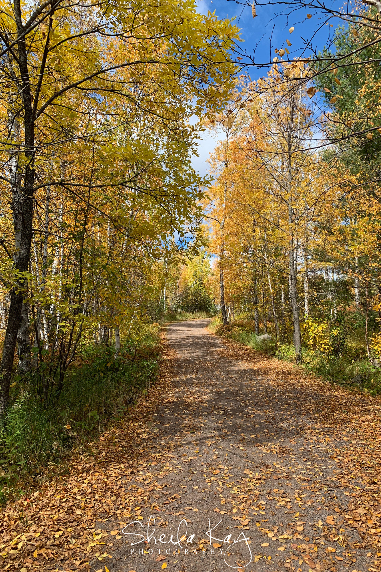 Gooseberry Falls State Park