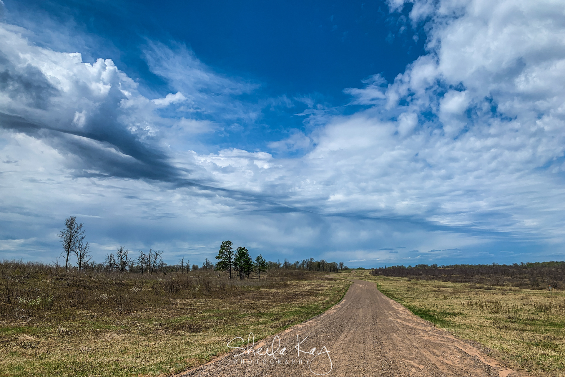 Crex Meadows, Grantsburg, Wisconsin