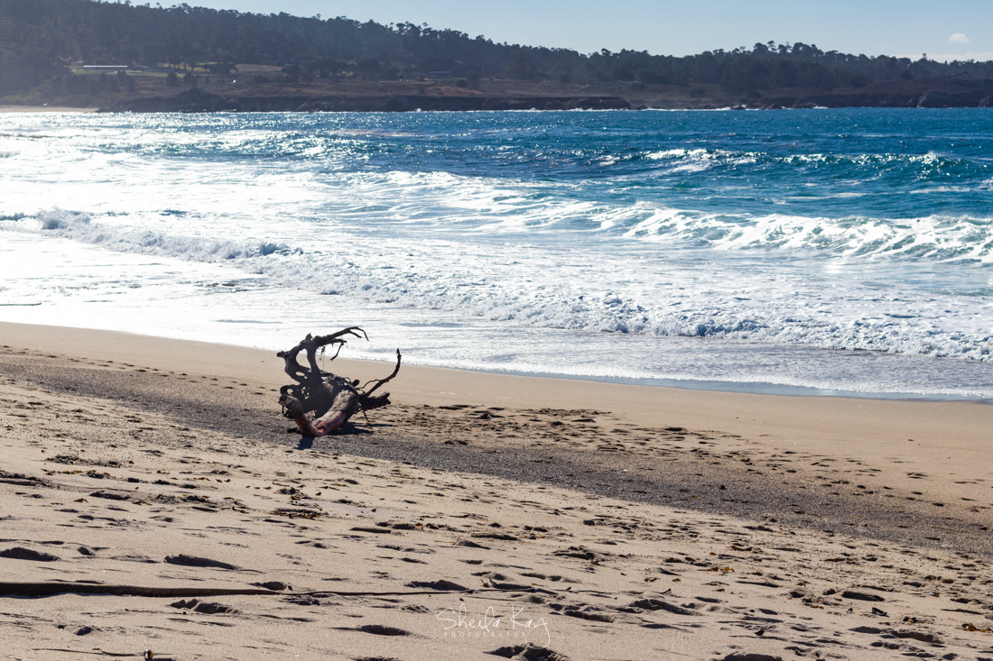 Carmel River State Beach, Carmel, California
