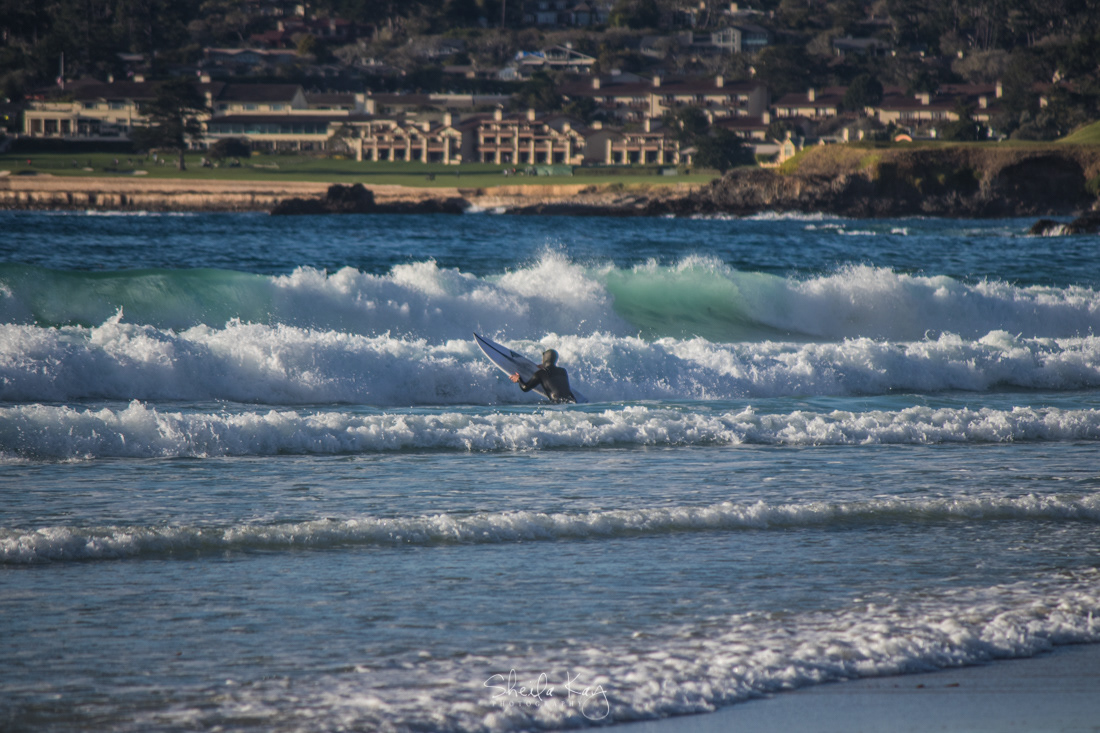 Carmel River State Beach, Carmel, California