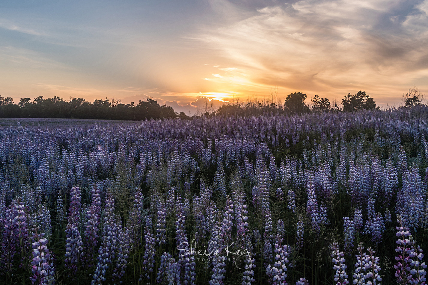 Sherburne National Wildlife Refuge