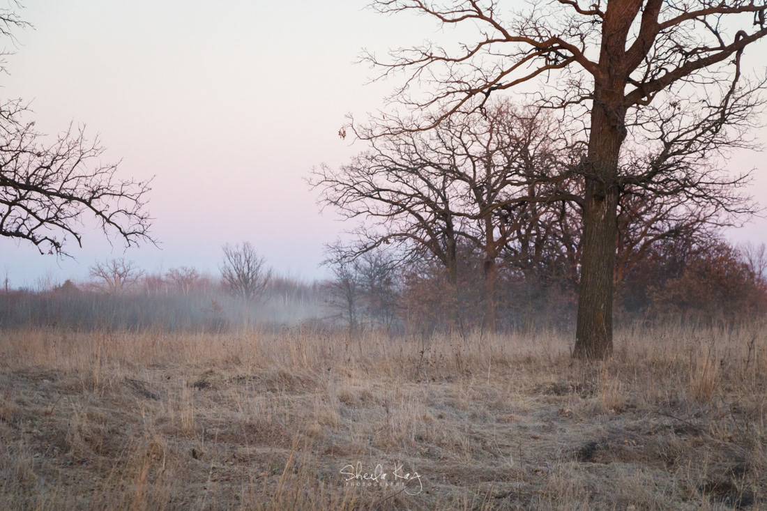 Sherburne National Wildlife Refuge