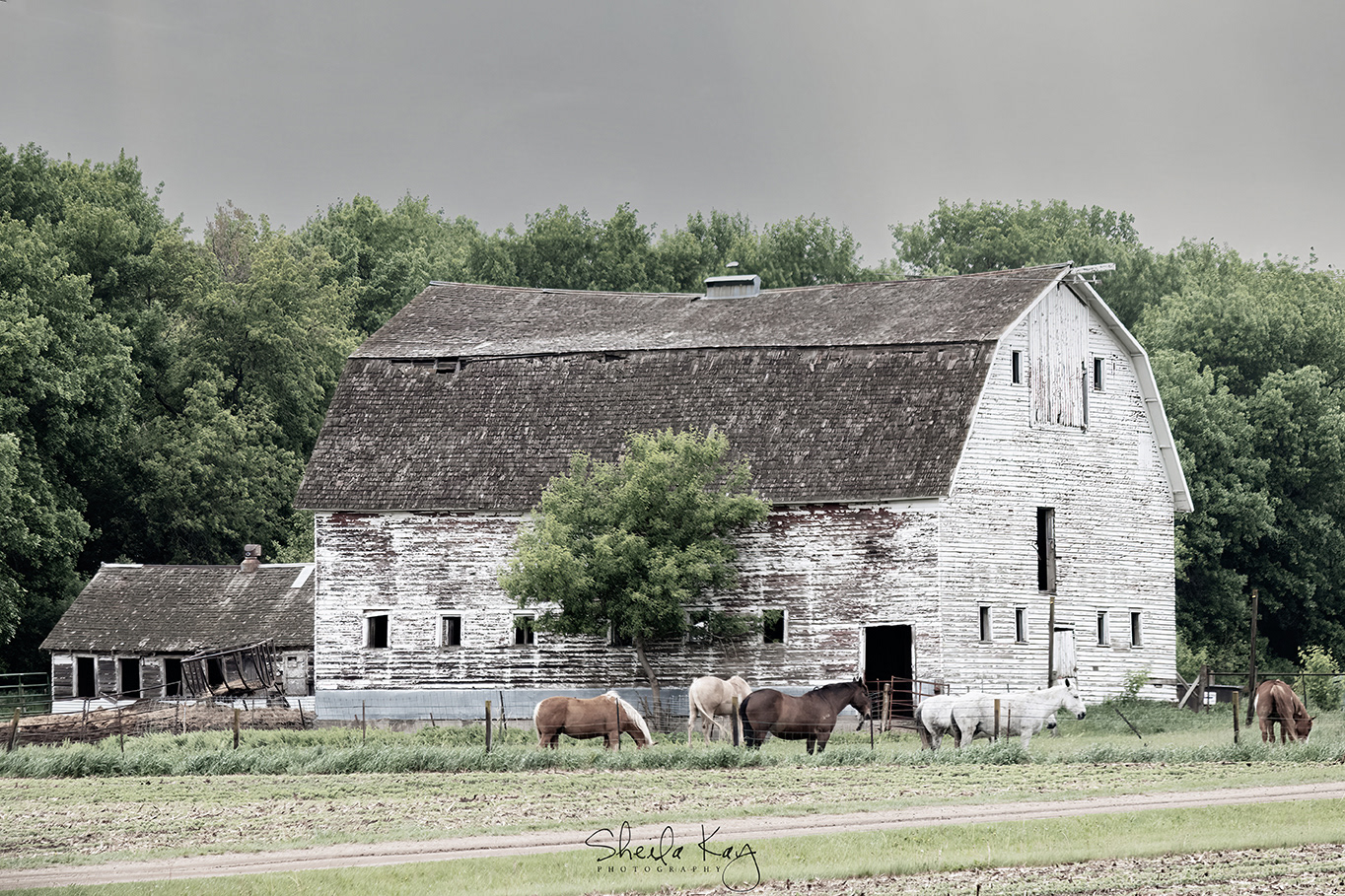 Rock County, Minnesota