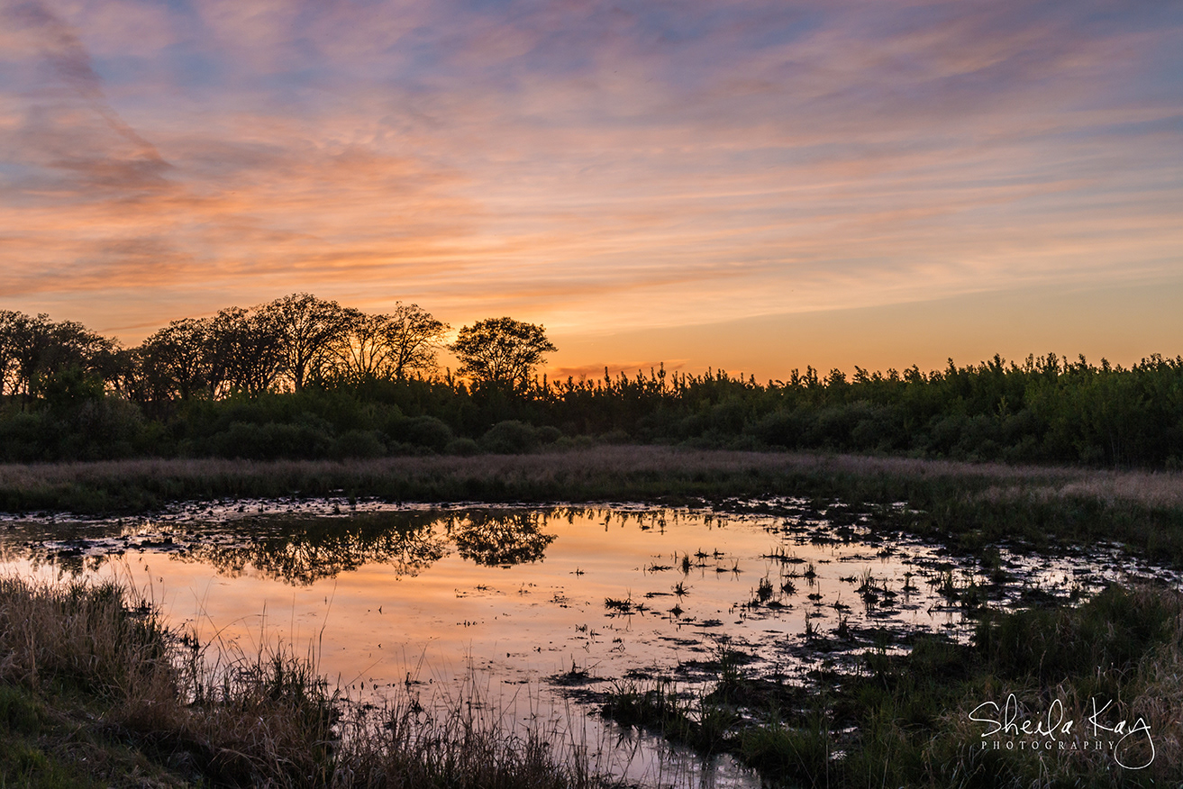 Sherburne National Wildlife Refuge